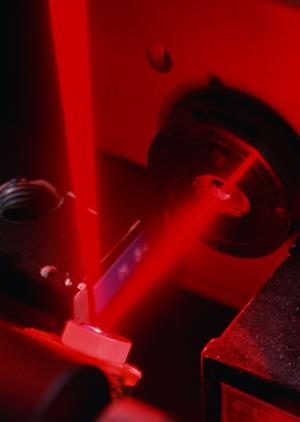 釣り愛好家必見！最新釣具とエギの魅力を余すことなくご紹介