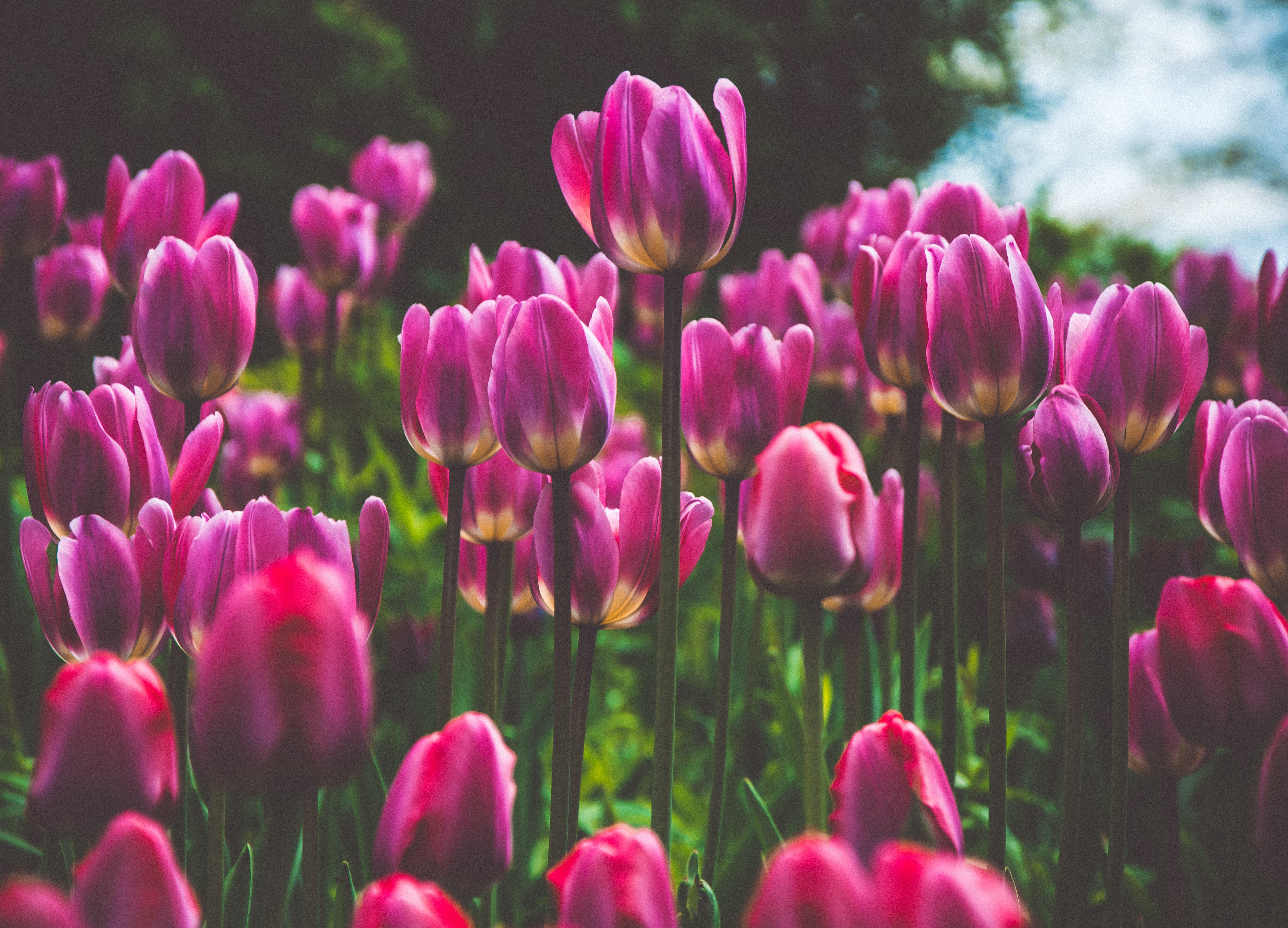 レンタル重機でメンテナンスも簡単